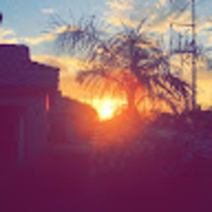 Meet your Posher, Kat